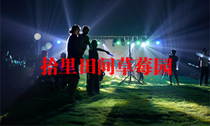 草莓富二代成人抖音夜景