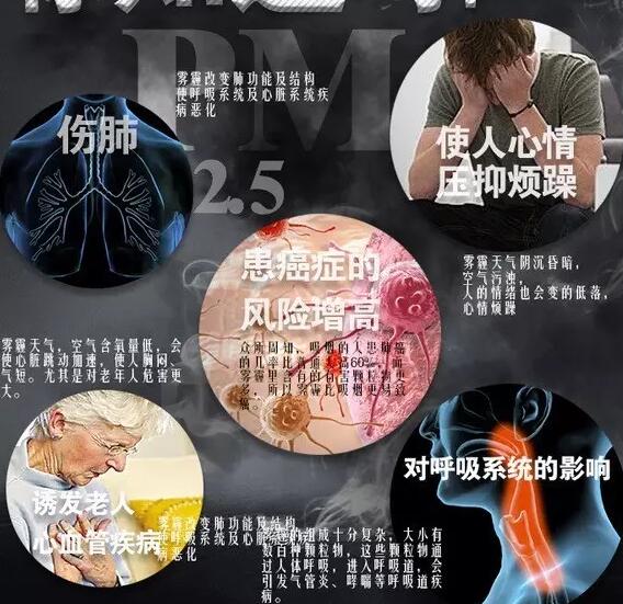 霧霾產生的疾病—91抖音短视频